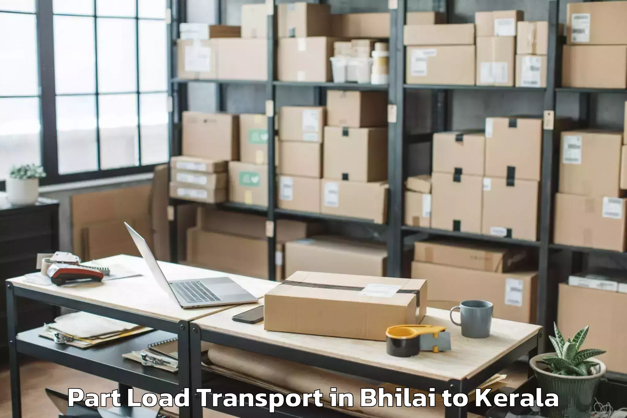 Professional Bhilai to Guruvayur Part Load Transport